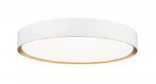  1014F20-MW-MGLD-LED - 1 Light Flush Mount