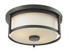  413F11 - 2 Light Flush Mount