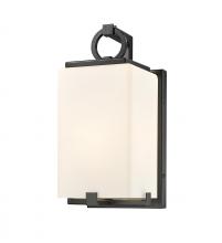  593S-BK - 1 Light Outdoor Wall Light