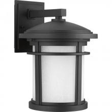  P6085-3130K9 - Wish Collection One-Light Medium LED Wall Lantern