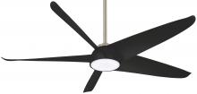  F771L-BN/CL - 60" CEILING FAN