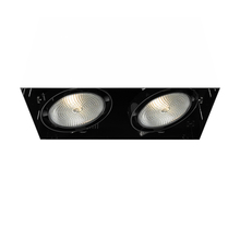  TE222-01 - MuLT, Par30, Trimlss, 2LT , 75w, Blk