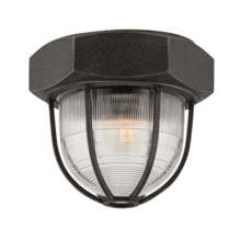  C3891-APW - Acme Flush Mount