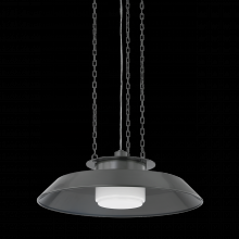  8822-DB - Woodrow Pendant