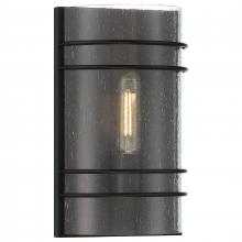  20416LEDDLP-MBL/SDG - 1 Light LED Wall Sconce