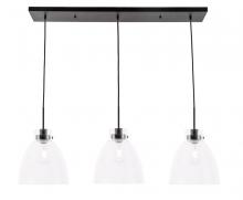  LD5030D42BK - Frey 3 Light Black and Clear Glass Pendant