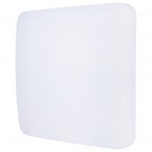  25/241 - Cloud; 14 inch Square; White; Replacement Lens