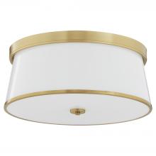  3203-20-80 - Weir 20 inches Ceiling Mount, Aged Brass