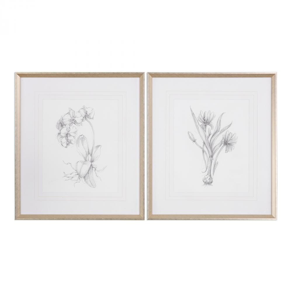 Uttermost Botanical Sketches Framed Prints S/2