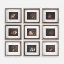  32386 - Uttermost Resting Bunny Framed Prints Set/9