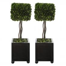 Uttermost 60187 - Uttermost Preserved Boxwood Square Topiaries, S/2