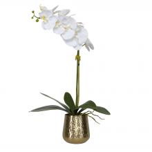 Uttermost 60189 - Uttermost Cami Orchid With Brass Pot