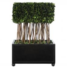 Uttermost 60188 - Uttermost Preserved Boxwood Rectangular Topiary