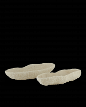  1200-0354 - Island Ivory Tray Set of 2